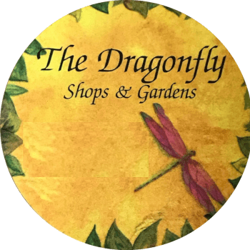 Dragonfly Shops and Gardens, glass and mosaic teacher